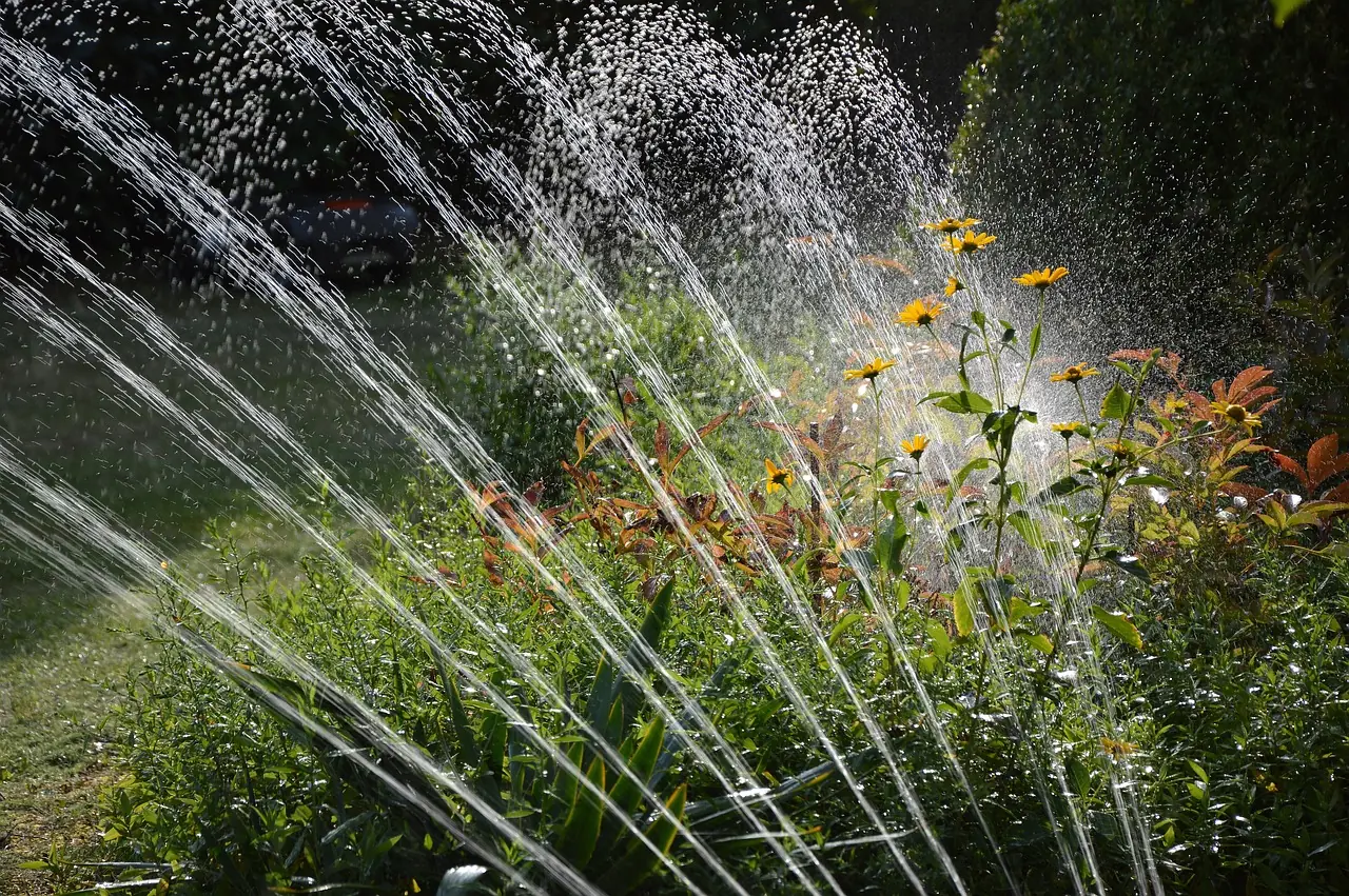 garden-3664278_1280 Garden 3664278 1280