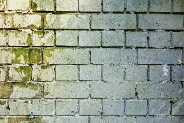 Commercial Restoration Mold Damage Services In Houston, TX
